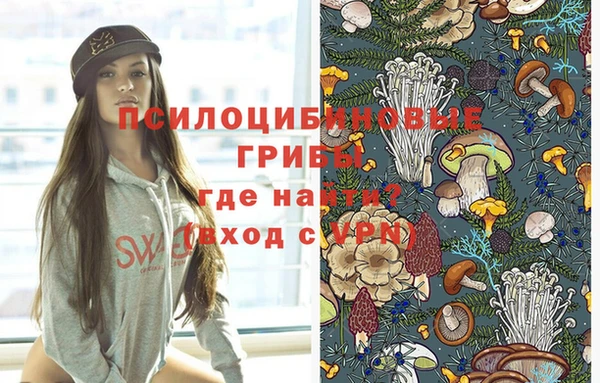 ГАЛЛЮЦИНОГЕННЫЕ ГРИБЫ Дмитровск