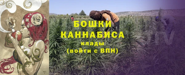 ГАЛЛЮЦИНОГЕННЫЕ ГРИБЫ Дмитровск